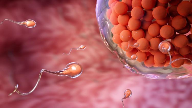 Sperm sayısı nasıl yorumlanmalı