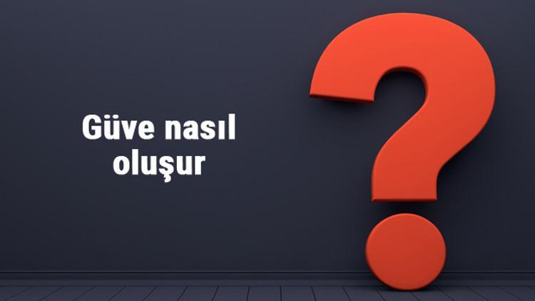 Güve nasıl oluşur? Güve nereden gelir, ne kokusuna gelmez?