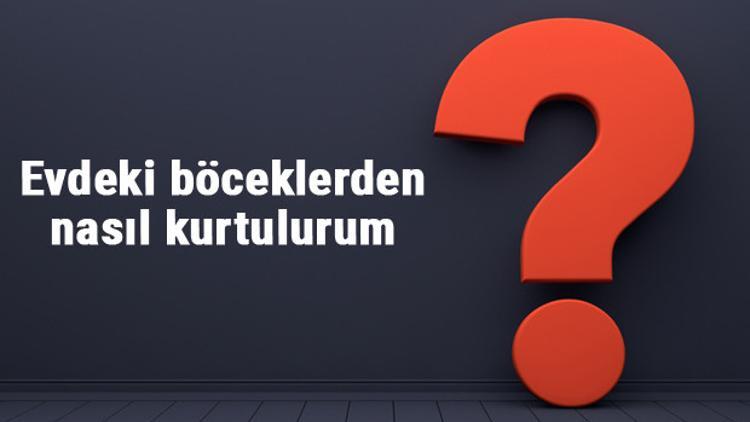 Evdeki böceklerden nasıl kurtulurum? Böcekler neyin kokusuna gelmez, böcekleri temizlemeye ne iyi gelir...