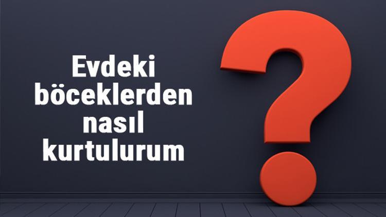 Evdeki böceklerden nasıl kurtulurum? Böcekler neyin kokusuna gelmez, böcekleri temizlemeye ne iyi gelir?