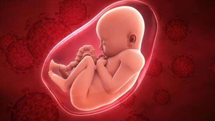 hamile kadinlarda koronavirus bebegin cinsiyetine gore hareket ediyor haberler