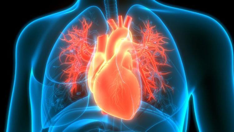 Kalp Yetmezliği | bioMérieux