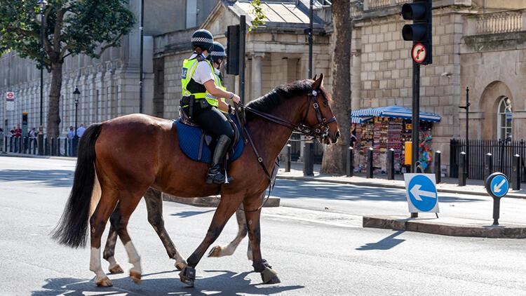 Atlı polis nasıl olunur, maaşları ne kadar? Atlı polise ne denir?