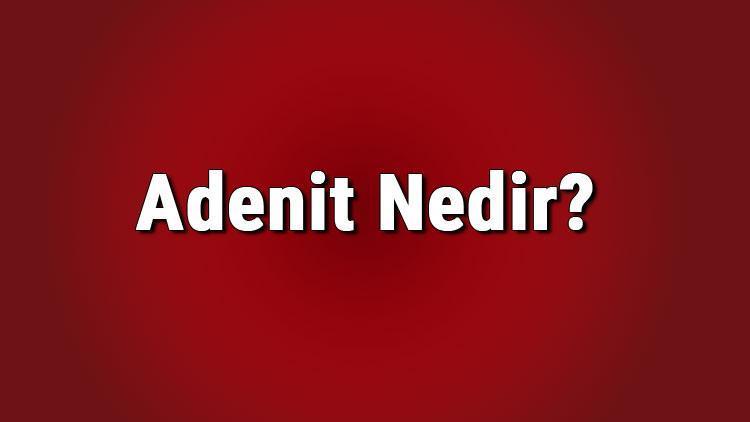 Adenit Nedir, Belirtileri Nelerdir? Adenit Hastalığı (Lenf Bezi ...