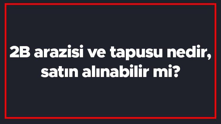 2b arazisi ve tapusu nedir satin alinabilir mi 2b arazisine ev yapilir mi