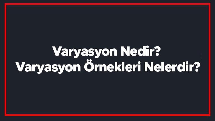 varyasyon nedir varyasyon ornekleri nelerdir