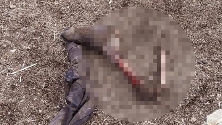 İran sınırında kan donduran olay Parçalanmış ceset bulundu