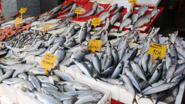 Akdenizde balık fiyatları artmadı