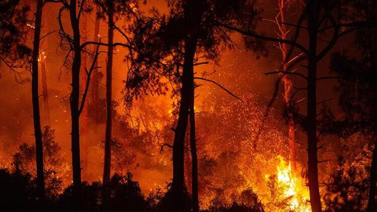 Şilide orman yangını: 120den fazla ev küle döndü