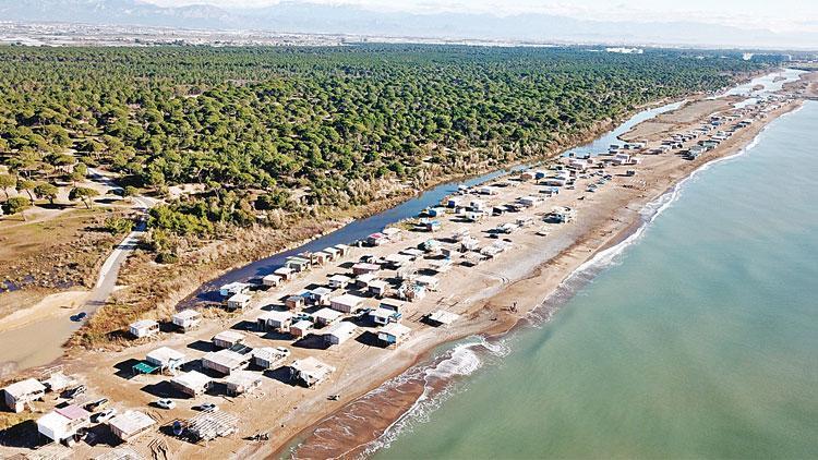 Kaplumbağalar nereye yuvalasın Baraka işgali