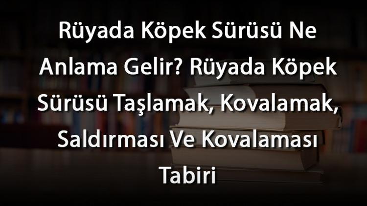 Rüyada Köpek Sürüsü Ne Anlama Gelir? Rüyada Köpek Sürüsü Taşlamak
