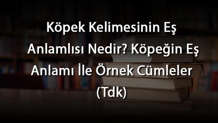 K Pek Kelimesinin E Anlaml S Nedir K Pe In E Anlam Le Rnek C Mleler Tdk