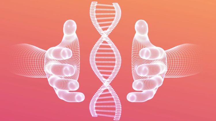 Aile dizimi nedir, ne demek