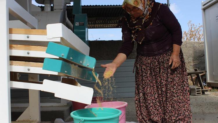 Türk Köylü Kadınlar Türbanli