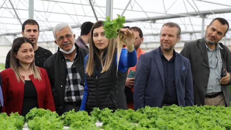 Yüreğirde tarımda güneş enerjisi kullanımı ve sulama kursları açılıyor