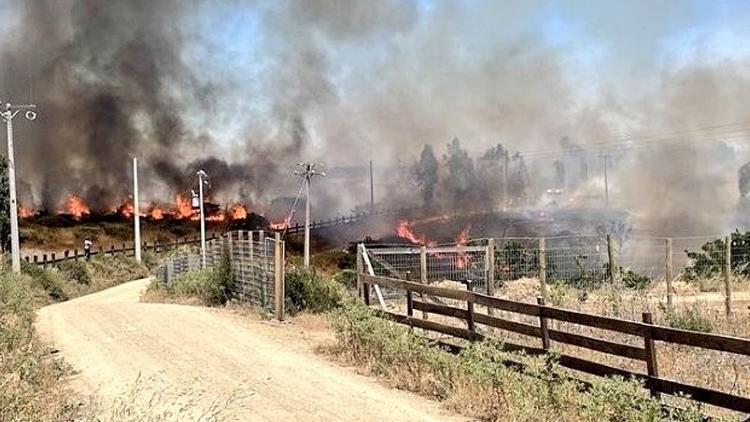 Şili’de 7 bin hektardan fazla alan küle döndü