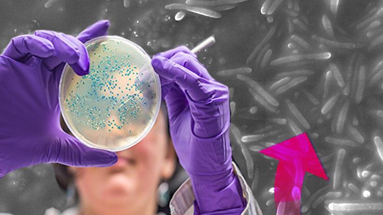 Türk bilim insanlarından umut verici keşif Çevre kirliliğine karşı savaşta silah olabilecek yeni bir bakteri bulundu | 7 SORU 7 YANIT