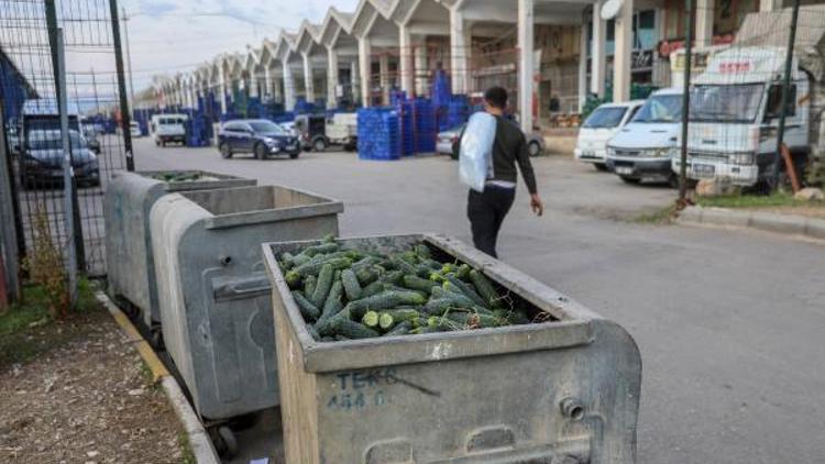 Dikenli salatalık, tüketimi yok diye çöpe atılmış