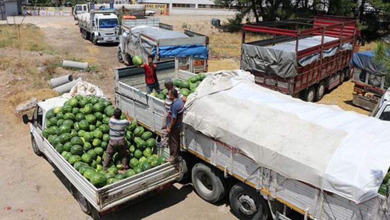 tuccarlar karpuzlarini kayit disi temin ediyor son dakika haberler