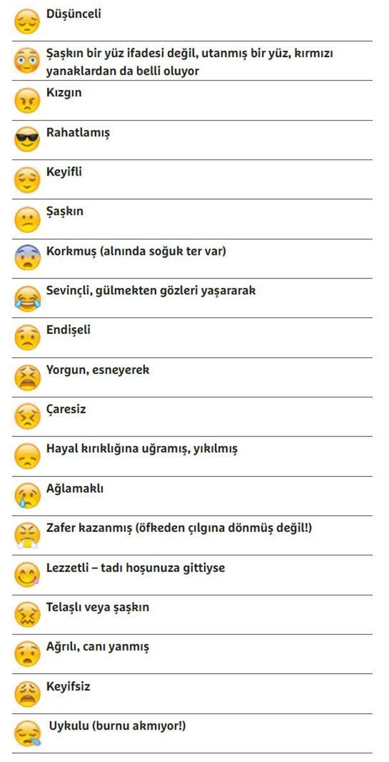 Emojilerin Anlamlari