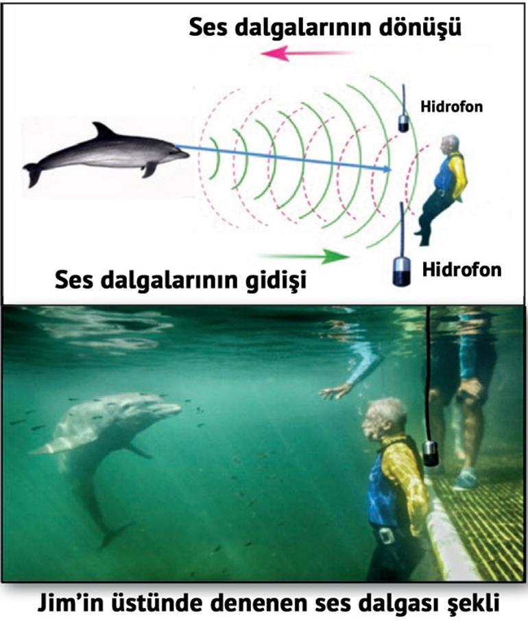 Yunuslar Insanlari Iste Boyle Goruyor Haberler