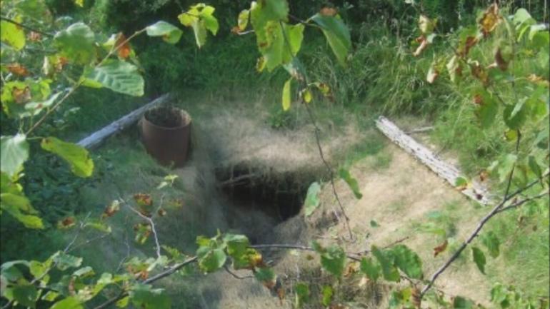 Oak Adas�'n�n 221 y�ld�r ��z�lemeyen gizemi