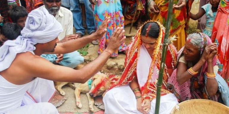 Hindistan’da ilginç bir gelenek: Köpekle evlenme festivali