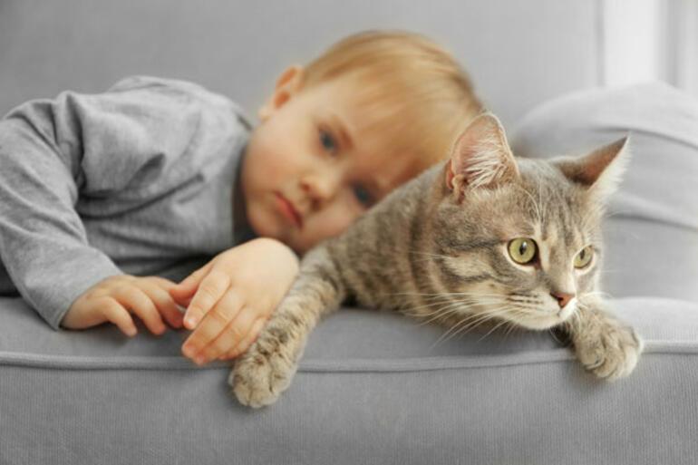 Bilim Nankor Degil Diyor Kediniz Sizi Mamadan Daha Cok Seviyor Magazin Haberleri