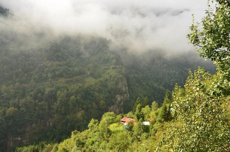 Ayrı vadilerin aynı hikâyesi: Macahel