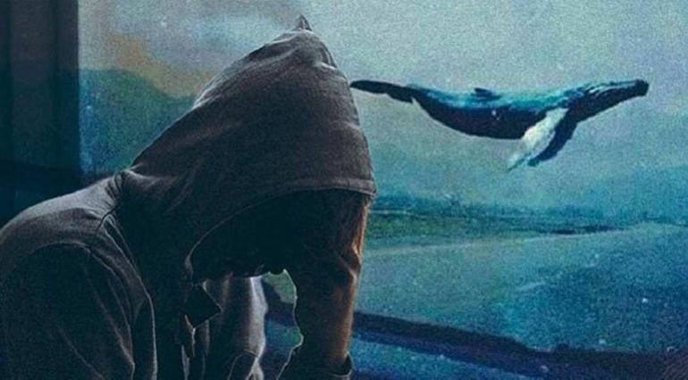 Mavi Balina Oyununun Tehlikesi Nasil Olduruyor Haberler