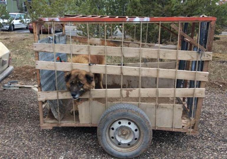 Yer Kayseri Operasyondan Hemen Sonra Son Dakika Flas Haberler