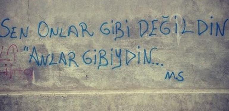 sokaklarin sesi duvar yazilari kampus haberleri sokaklarin sesi duvar yazilari kampus haberleri