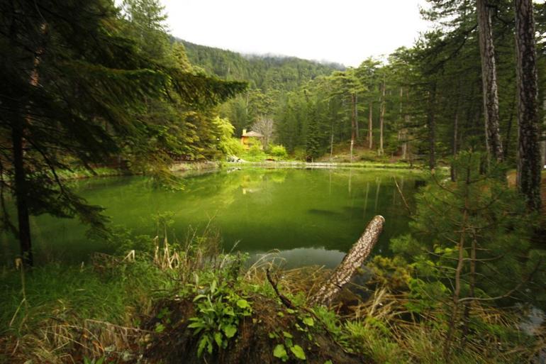 kastamonu tabiat ve milli parklari