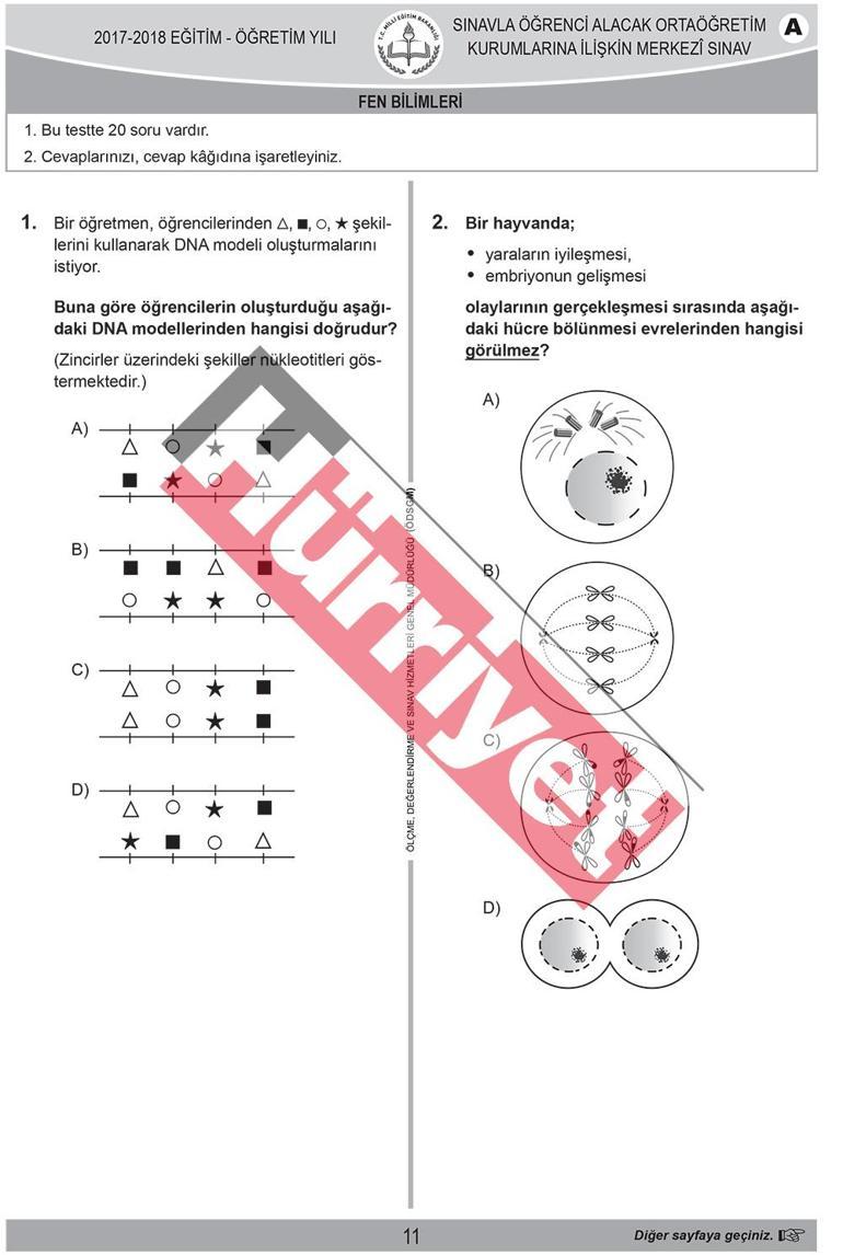 C Mi B Mi Liselere Gecis Sinavinda Fen Sorusu Muammasi Sozcu Gazetesi