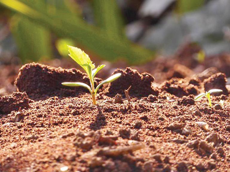 Dünyayı kurtaracak son nesil biziz