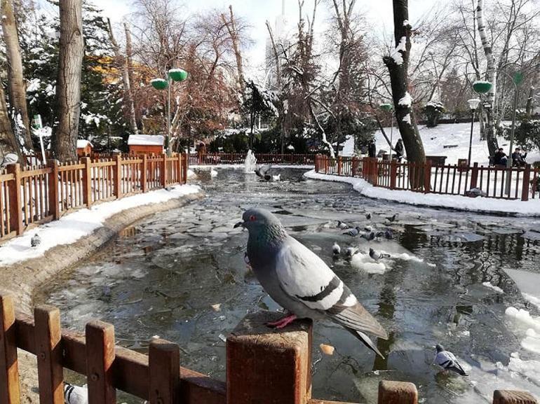 ankara nin nostaljik adresi kugulu park erdogan gumus kose yazilari