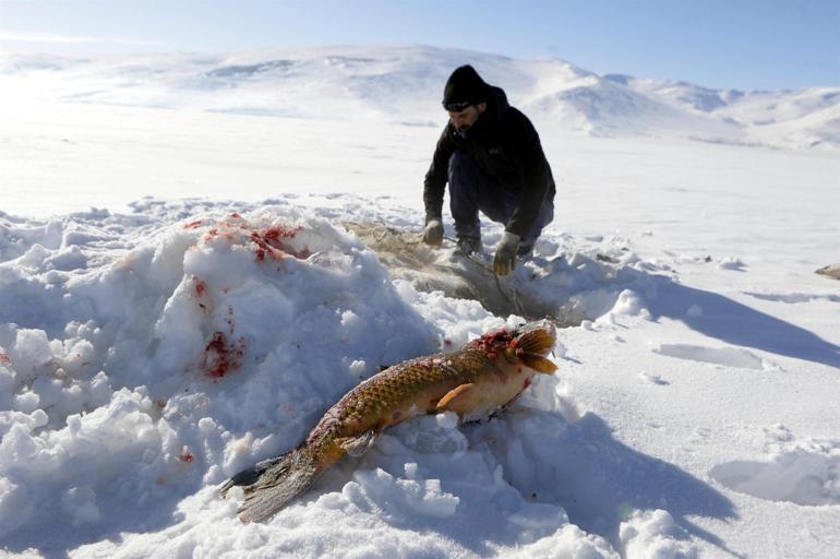 20 Yildir Eskimo Usulu Yapiyor Cildir Golu Nden En Buyugunu Yakaladi Guncel Haberler