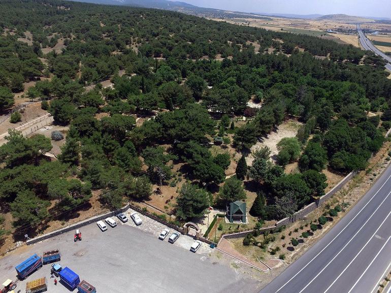 Botanik bahçesi, fotoğraf stüdyosu oldu