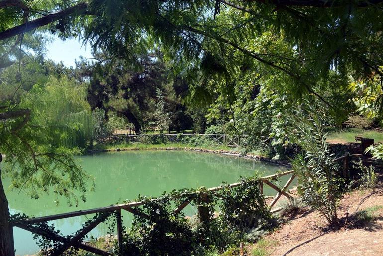 Botanik bahçesi, fotoğraf stüdyosu oldu