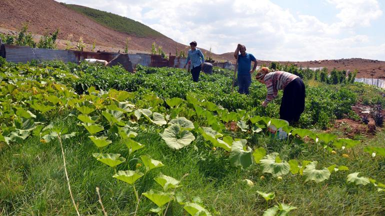 Şenyayla başarılı operasyonlarla huzura kavuştu