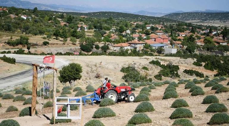 Lavanta kokulu köyü, 750 bin kişi ziyaret etti