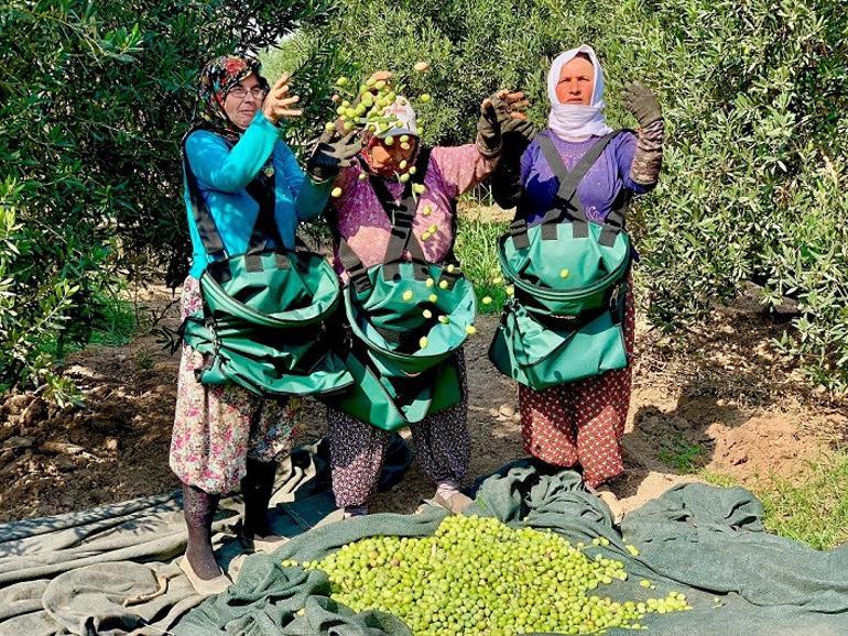 Zeytin ve zeytinyağının izinde Akhisar...