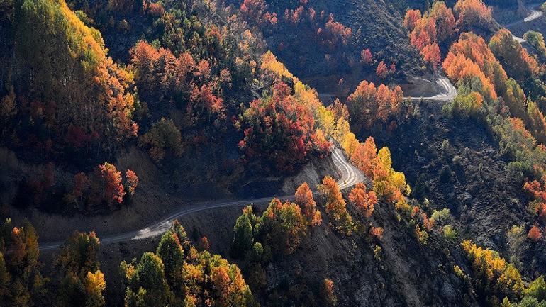 Doğu Karadeniz 'güz renkleri' ile bir başka güzel