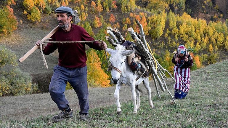 Doğu Karadeniz 'güz renkleri' ile bir başka güzel