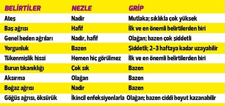 Kalp Carpintisina Ne Iyi Gelir Nasil Gecer Kalp Carpintisina Iyi Gelen Bitkiler Caylar Ve Yiyecekler