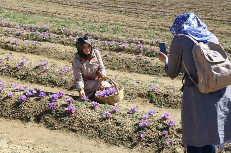 Kilosu 30 bin TL'den satılıyor! Onun için Türkiye'ye resmen akın ediyorlar