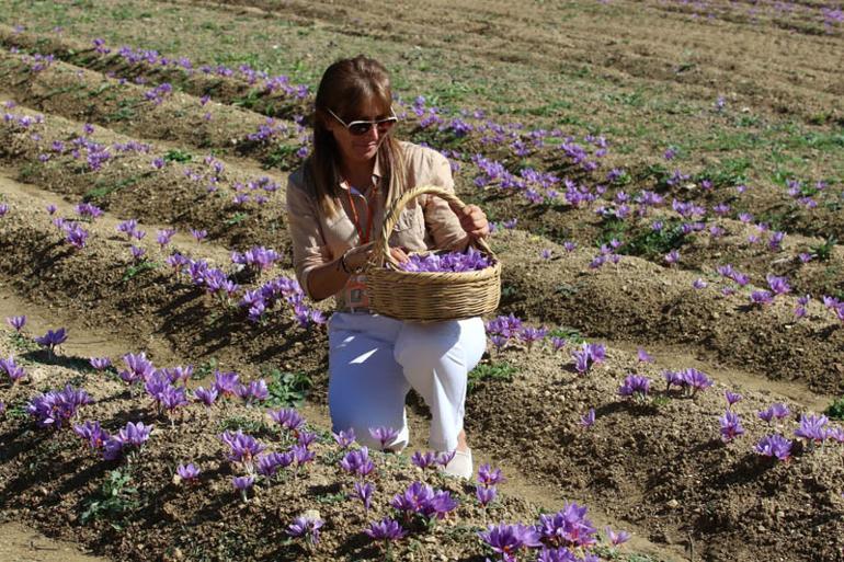 Kilosu 30 bin TL'den satılıyor! Onun için Türkiye'ye resmen akın ediyorlar