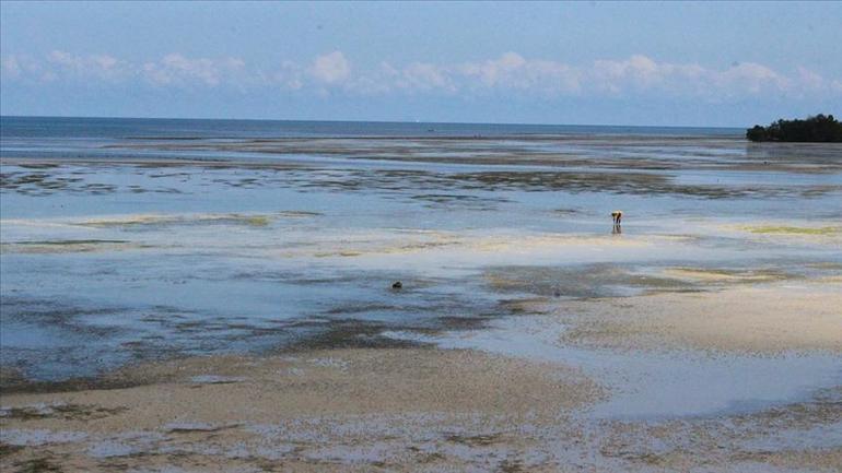 Ekmeğini gelgitten kazananların adası: Zanzibar