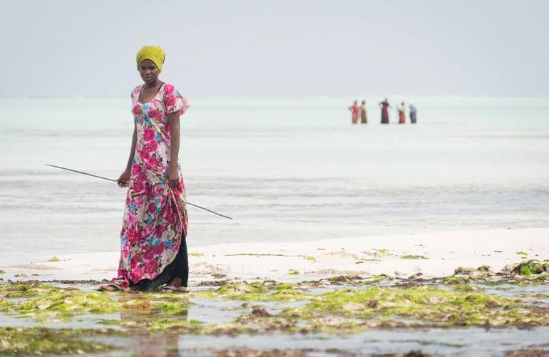 Ekmeğini gelgitten kazananların adası: Zanzibar