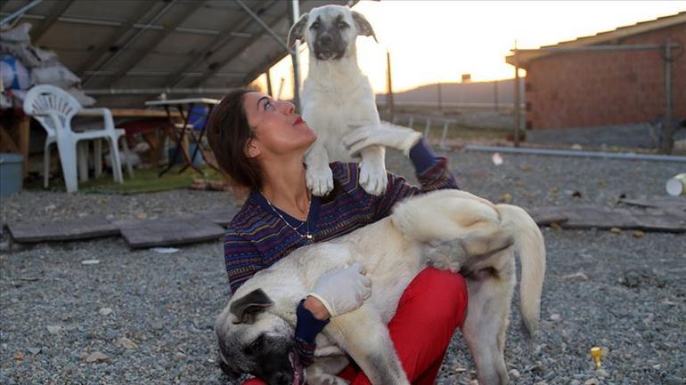 Köpeklerin mutlu olduğu köy